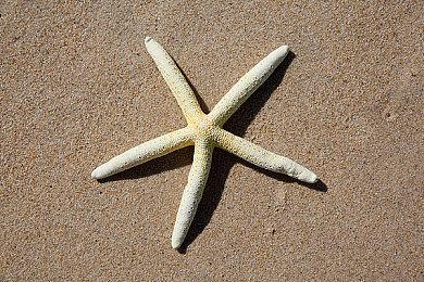 《外太空杀人小丑：游戏版》新预告 年内发售